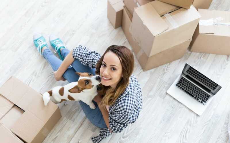 dicas para facilitar adaptação do cão em uma nova casa