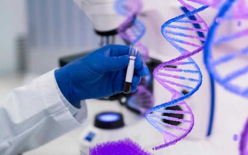 Tudo o que você precisa saber antes de fazer um teste genético